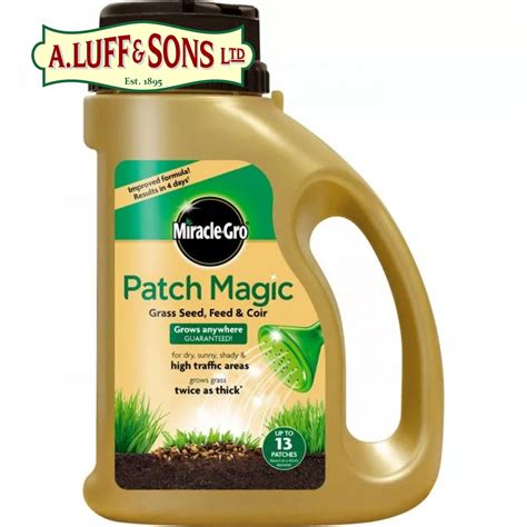 Transform Your Outdoor Space with Magic Grass Seed: Before and After